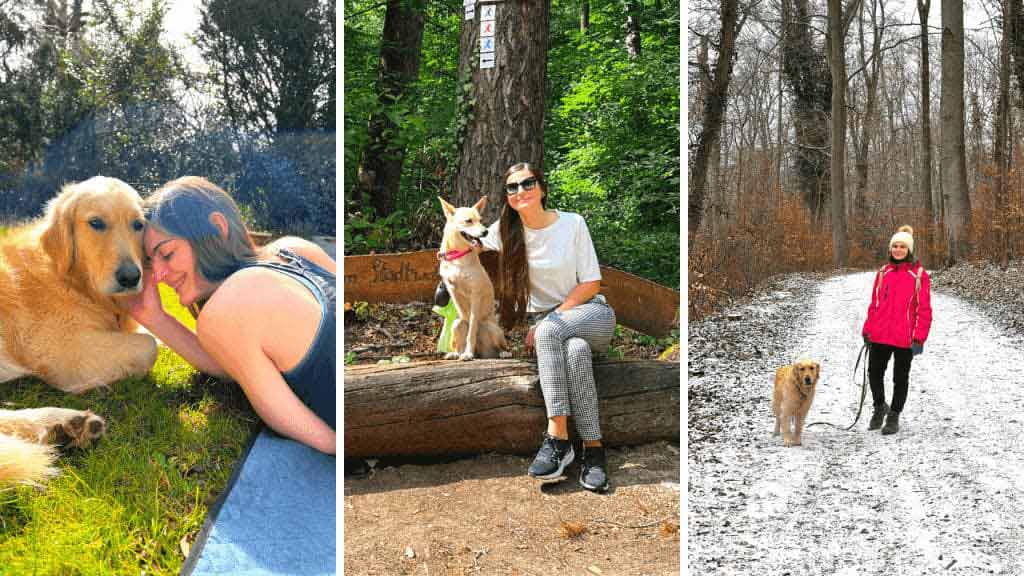 trusted-house-sitters-como-funciona-