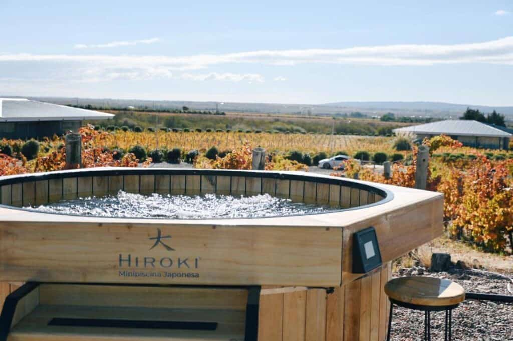 19. hoteles en bodegas mendoza - villas del malbec