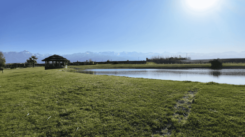 bodegas en mendoza para visitar zuccardi