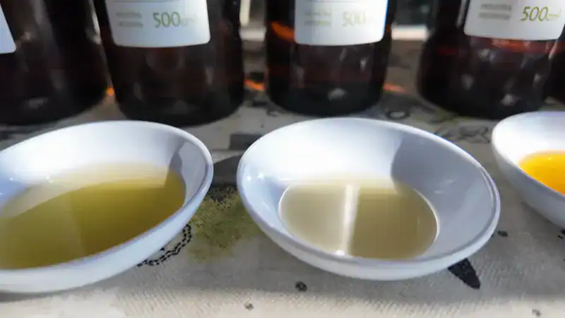 Cuencos con aceites de oliva para la degustación en Sierra Pura