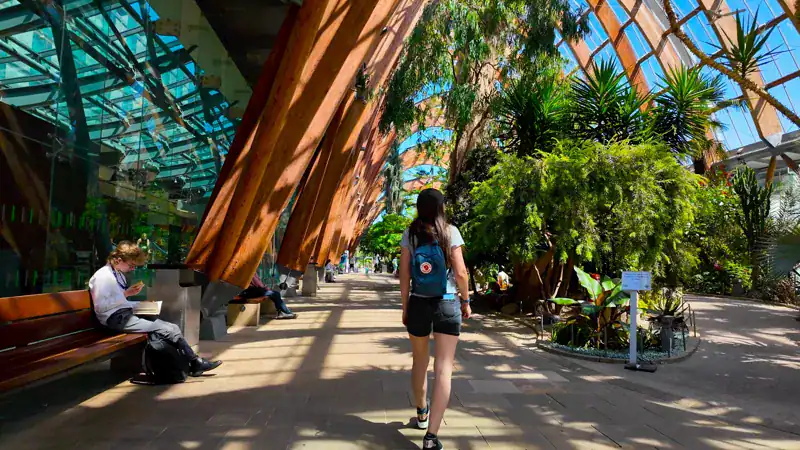 Interior del Jardín de Invierno de Sheffield, con arcos de madera y plantas tropicales