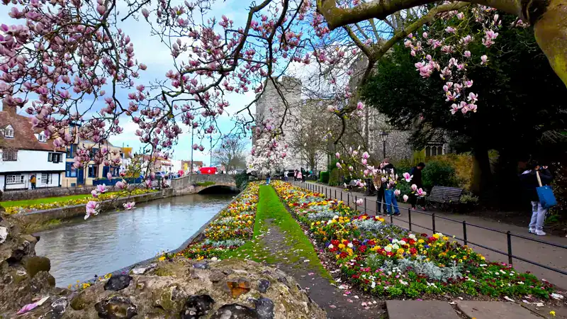 Canteros de flores y magnolias junto al río, en los jardines de la Westgate de Canterbury